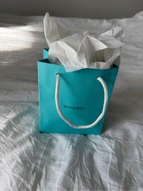 Tiffany & Co. Small Blue Gift Bag with White Rope Handles